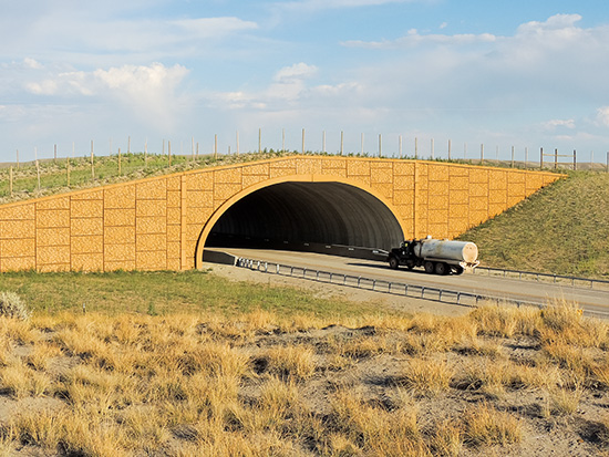 The Wyoming pronghorn crossing bridge near Pinedale. Photo copyright Ralph Maughan. August 2013