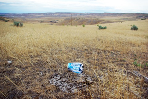Cow flop, beer cans, and cheatgrass.  © Ken Cole