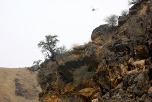 Helicopter doing game surveys in Frank Church Wilderness © Ken Cole