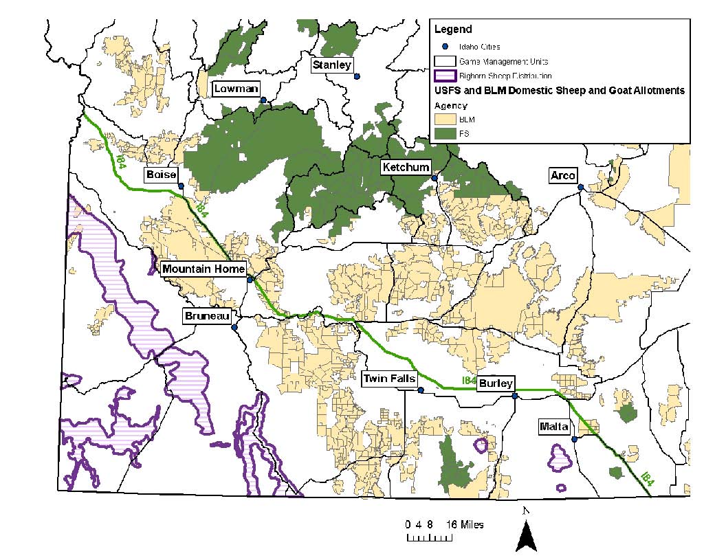 Bighorn distribution and domestic sheep and goat allotments in southern Idaho