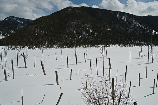 Earthquake Lake on the Madison River, deep in the winter. Montana. Copyright Ralph Maughan