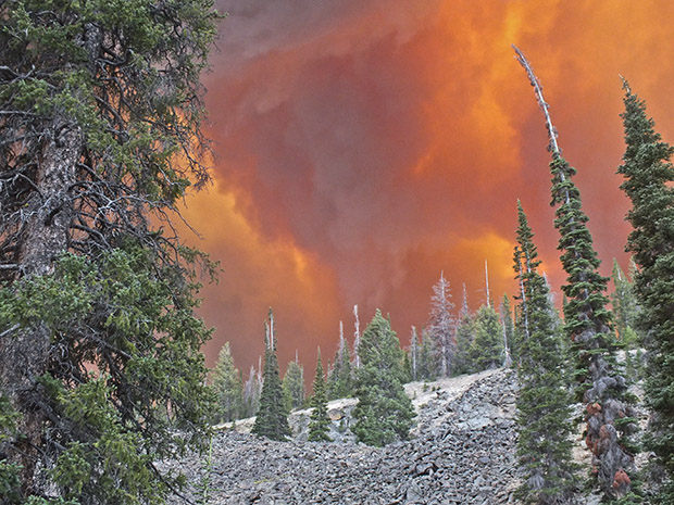 The Lodgepole wildfire west of Challis, Idaho. Courtesy U.S. Forest Service