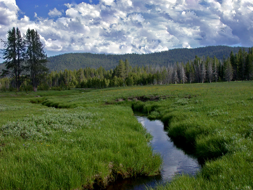 Nameless Creek on the south boundary of the Frank Church Wilderness. Copyright Ralph Maughan