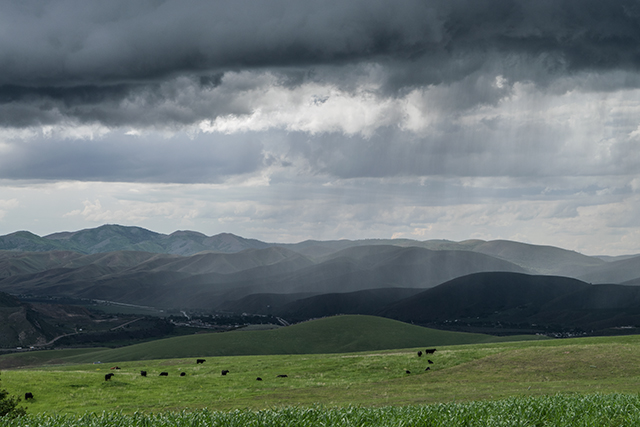 Late May thundershowers over the Pocatello Range mountains. Copyright Ralph Maughan