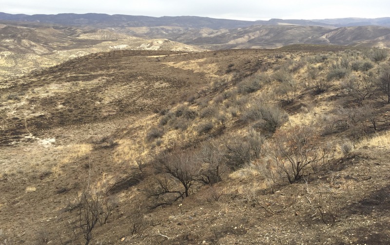 Soda Fire Recovery Not Going as Well as Portrayed in the Media