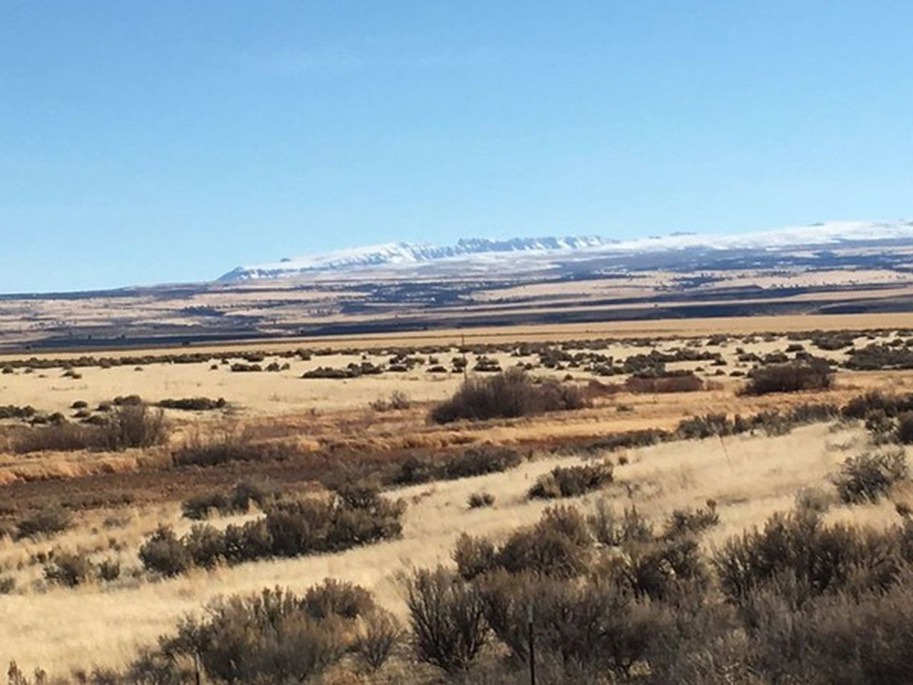An open letter to the Oregon Bureau of Land Management on Hammond Ranches, Inc. proposed permit