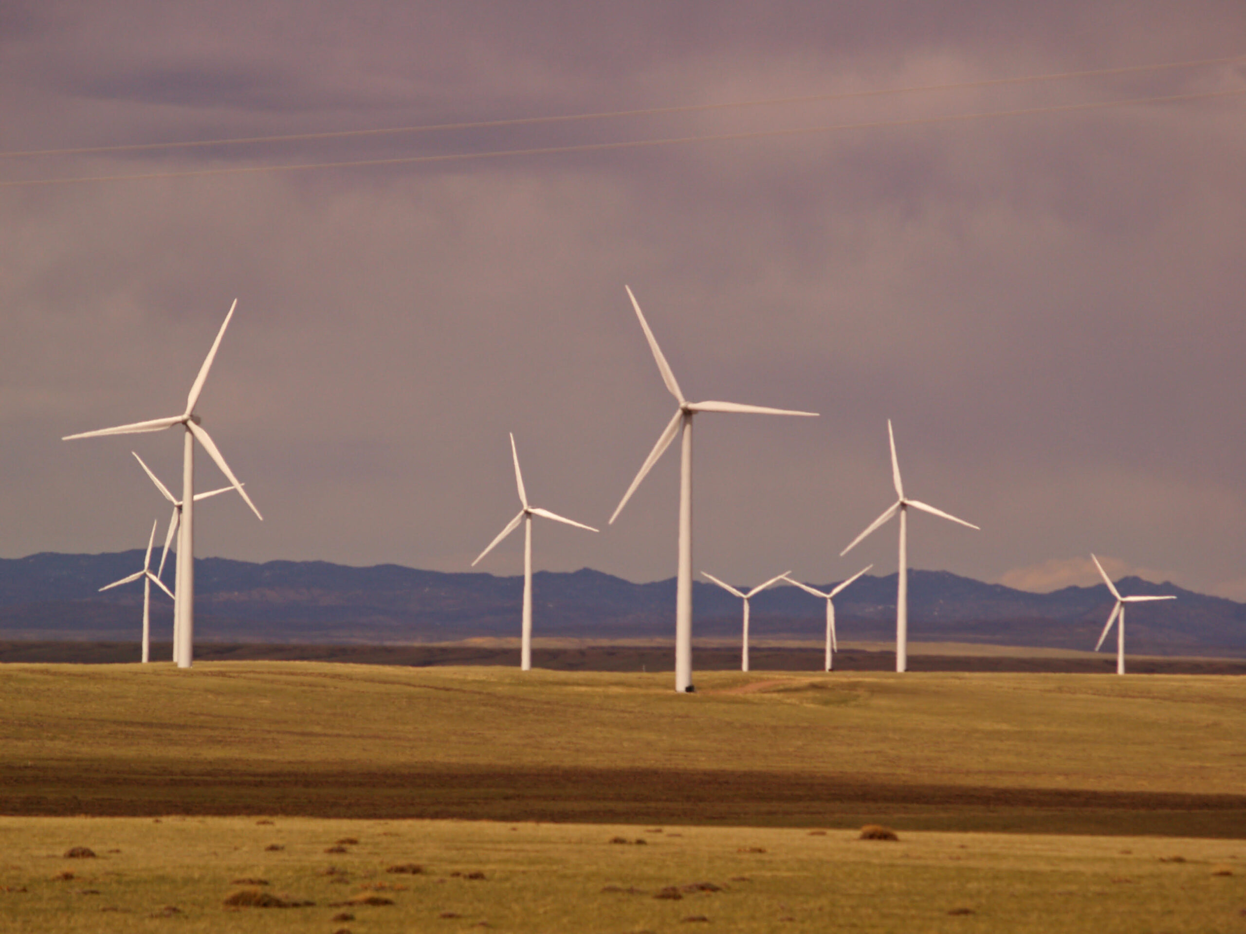 “America’s largest wind farm:” An environmental disaster?